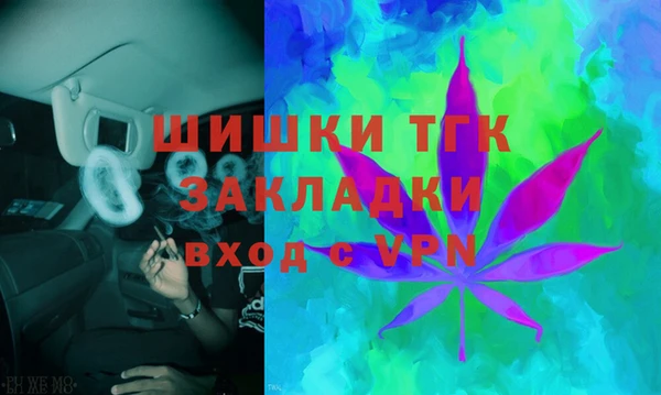 молекула духа Ростов