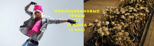 2c-b Семилуки