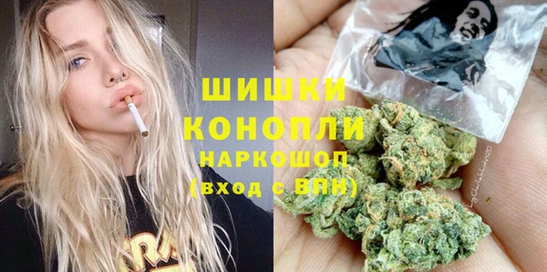 соль ск Рославль