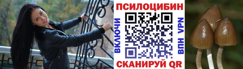 Галлюциногенные грибы MAGIC MUSHROOMS  Купить закладки  Дудинка 